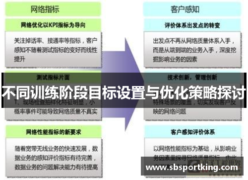 不同训练阶段目标设置与优化策略探讨