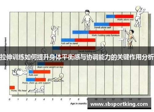 拉伸训练如何提升身体平衡感与协调能力的关键作用分析