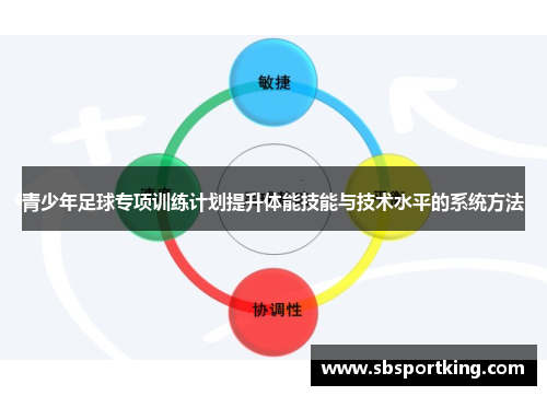 青少年足球专项训练计划提升体能技能与技术水平的系统方法